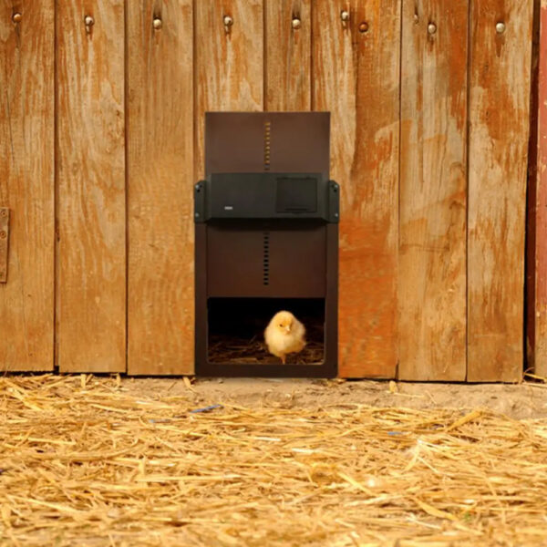 High-Quality Automatic Chicken Coop Door with Light Sensor for Chicken and Duck Cages - Image 7